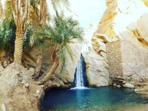 Piccola cascata naturale che sgorga dalle rocce dell'oasi di montagna di Chebika, Tunisia, circondata da pareti di arenaria.