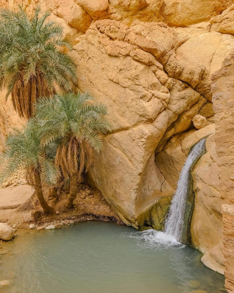 Piccola cascata naturale che sgorga dalle rocce dell'oasi di montagna di Chebika, Tunisia, circondata da pareti di arenaria.