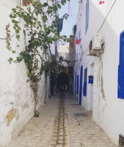 Vicolo labirintico della Medina di Tunisi con case tradizionali in calce bianca, finestre azzurre decorate e archi in pietra.