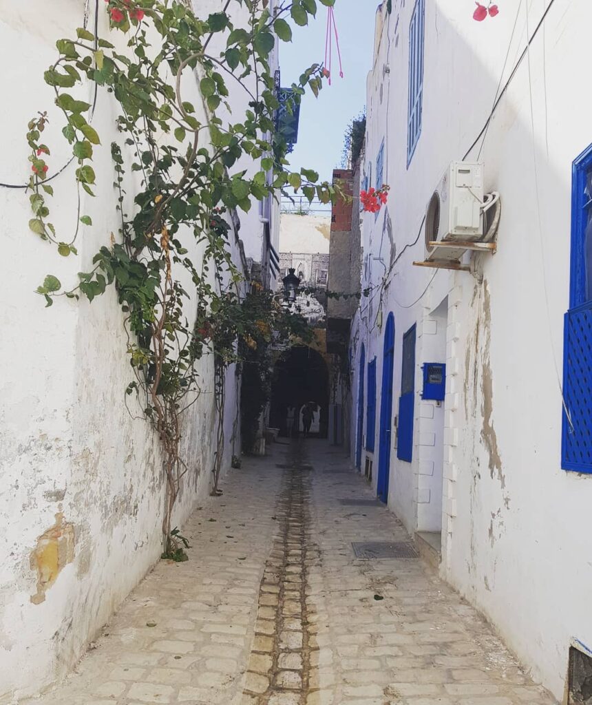 Vicolo labirintico della Medina di Tunisi con case tradizionali in calce bianca, finestre azzurre decorate e archi in pietra.