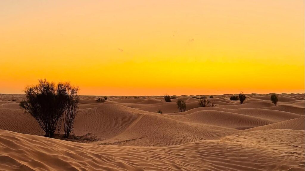 Distesa infinita di dune di sabbia bianca finissima nel deserto del Sahara a Douz, Tunisia, sotto un cielo terso.